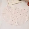 Calcinhas de Algodão Modal Cintura Média para Mulheres, Tamanho Plus Size, Acabamento em Renda, Estilo Coreano, Estampa Floral Fashion, Tanga Fresca e Simples