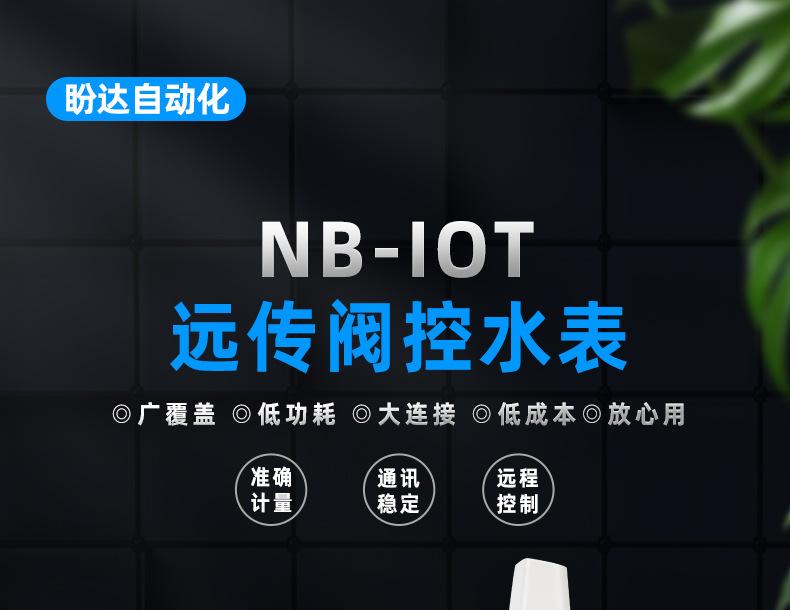 NB阀控小口径 (4).jpg