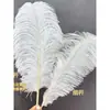 Pluma de avestruz blanca boda avestruz plumas grandes fotografía danza decoración accesorios adornos para sala de estar lámpara de mesa materiales de decoración