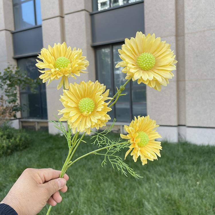 4头单支虫草花-sxwlx-黄色.JPG