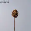 Flor seca pinha natural algodão lótus flor artificial fabricantes decoração de casa casamento flor de segurar parede de flores parede de plantas flor falsa