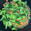 Paquete de 1 Tonelada de Verduras Mixtas Congeladas Rápidas, Brócoli, Judías Verdes, Zanahorias, Verduras Mixtas Frescas Variadas de Fábrica de Origen