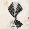 Bufanda pequeña de nuevo estilo, bufanda larga y delgada para mujer, elegante, de moda, para primavera y otoño, bufanda decorativa que combina con todo.