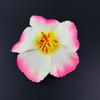 Mingchu Hibae Flor de Amora Joias Flor Artificial Feminina Doce Flor de Praia Marítima Grampo de Cabelo Presilha de Cabeça Flor de Ovo Lote