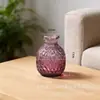 Vaso de Vidro Sódio-Cálcio Personalizado Transfronteiriço, Pote de Armazenamento, Estilo de Padrão em Malha de Luxo Leve, Decoração de Sala de Estar, Armazenamento de Vaso de Flores Estilo Europeu