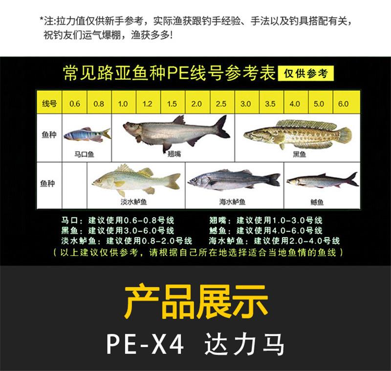 鱼线X4-1_14.jpg