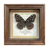 Marco de Fotos con Foto de Mariposa Real Pintura Decorativa Estilo Europeo Marco de Fotos Vintage Decoración de Mesa Adorno para Muebles Regalo de Cumpleaños Presente
