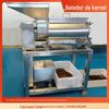 Máquina contínua de polpa de romã máquina de descascar frutas e remover sementes grande filtro de sementes de tomate máquina de lama