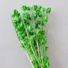 Linterna de Flor Eterna Fruta en stock para venta al por mayor, fruta de gelatina, flor de campanilla de viento, decoración de hotel y casa de huéspedes, arreglos florales, materiales florales para bodas