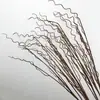 Dragón de Nube de Simulación Ramas de Sauce Sauce con Hojas Materiales para Arreglos Florales Brotes de Sauce Ramas Secas Líneas de Ramas Tronco de Rama Decoración para el Hogar Hojas de Sauce Falsas Paquete