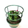 Soporte para flores para interiores, soporte doméstico, tipo universal, soporte para orquídeas pata de cangrejo, soporte para hojas de loto, soporte para plantas en maceta de jardinería, Zhao Zhi Sun