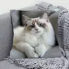 Funda de almohada para sofá transfronteriza, felpa corta agradable a la piel, funda de almohada de gato animal lindo, funda de cojín para sala de estar, no incluye relleno