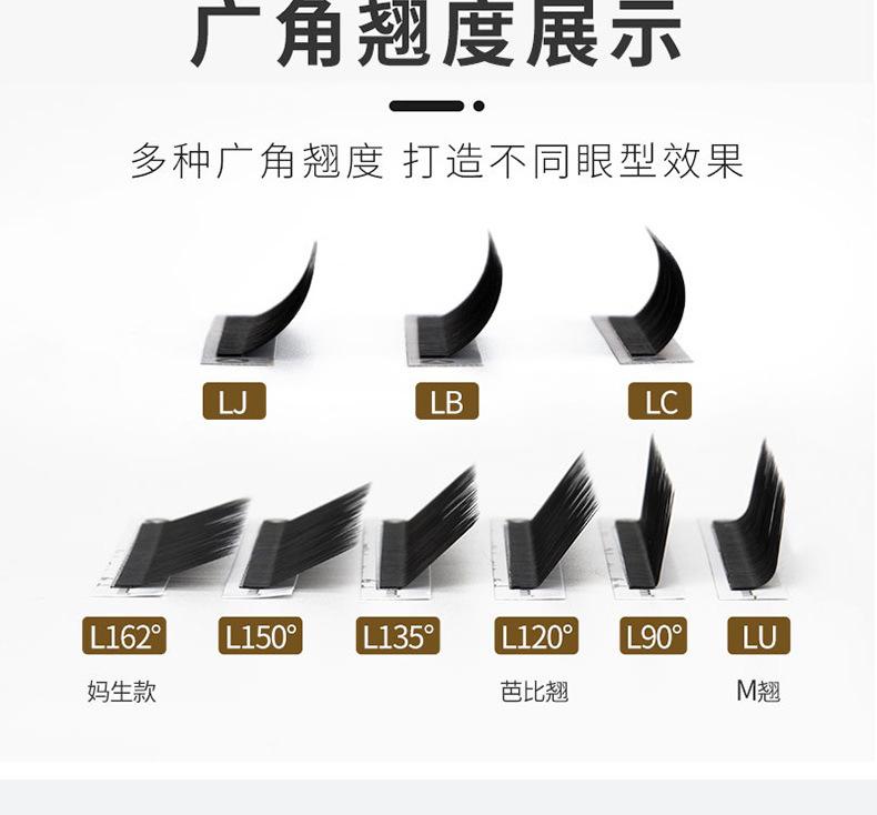 空气扁毛L_04.jpg