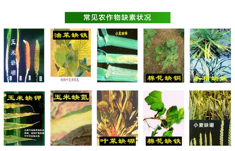 AB-详情790_13