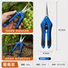 Podaderas de Uva de Acero Inoxidable Aprobadas por el Fabricante, Tijeras para Aclareo de Frutas, Tijeras para Recolección de Pimientos, Tijeras de Podar Florales, Tijeras para Aclareo de Frutas, Herramientas de Jardinería para Huertos