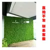 Parede de Plantas Simulada Parede Verde Decoração Externa Parede Eterna Recinto de Parede Hotel Shopping Parede de Celebridade da Internet Varanda Cabeça de Porta Decoração