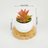 Venta al por mayor Plantas Verdes Creativas de Simulación Suculentas de Escritorio para Oficina Mini Adornos Plantas Artificiales Macetas Falsas