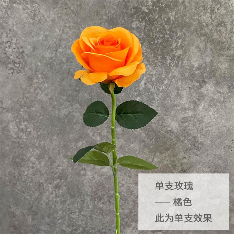 单支玫瑰-橘色.jpg