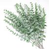 Amazon Simulación Transfronteriza Hoja de Eucalipto Individual Hoja de Eucalipto Floral Hoja de Eucalipto Boda Decoración del Hogar