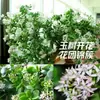 Árbol de Jade en Maceta con Hojas Grandes, Planta Suculenta, Lirio de la Paz, Planta Verde Purificadora de Aire de Interior y Flor