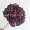 Flor Preservada Haste Única Hortênsia Anna Anna Folha Pequena Bella 40 Cores Personalizado Atacado Presente Dia dos Professores