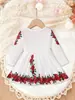 Comércio Exterior Roupas Infantis Primavera e Outono Vestido de Bebê Estiloso Retrô Estampa de Rosa Vermelha Amigo da Pele Respirável Gola Redonda Manga Longa Vestido Infantil