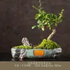 Maceta para Suculentas de Diámetro Grande, Maceta de Cerámica Simple para Suculentas, Plato Combinado Creativo, Cerámica Gruesa Extra Grande, Envío Gratis