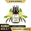 Óleo Essencial de Aromaterapia Solúvel em Água para Drop-Shipping de Uma Peça 10ml Fragrância Fresca Umidificador Difusor Fragrância Duradoura Item Quente Transfronteiriço