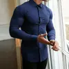 Camisas Casuais Versáteis Masculinas para Primavera e Outono Tendência Esportiva Estilosa Camisas de Manga Longa Camisas Lisas com Colarinho Social
