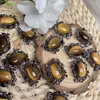 Olho de Tigre Amarelo Natural Design Preto Fosco Macarrão de Ovo Pulseira Pingente Caixa Mágica