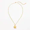 Collar de Clavícula con Cadena Fina de Acero Inoxidable Transfronterizo Europeo y Americano con Forma de Flor para Mujer, Joyería Estilo Ins con Forma de Estrella y Concha de Caracol Estilo Océano