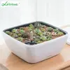 Vaso de Flor Automático Absorvente de Água Personalizado Vaso Preguiçoso para Suculentas Pothos Varanda Vaso de Resina Diâmetro Grande Vaso Autoabsorvente
