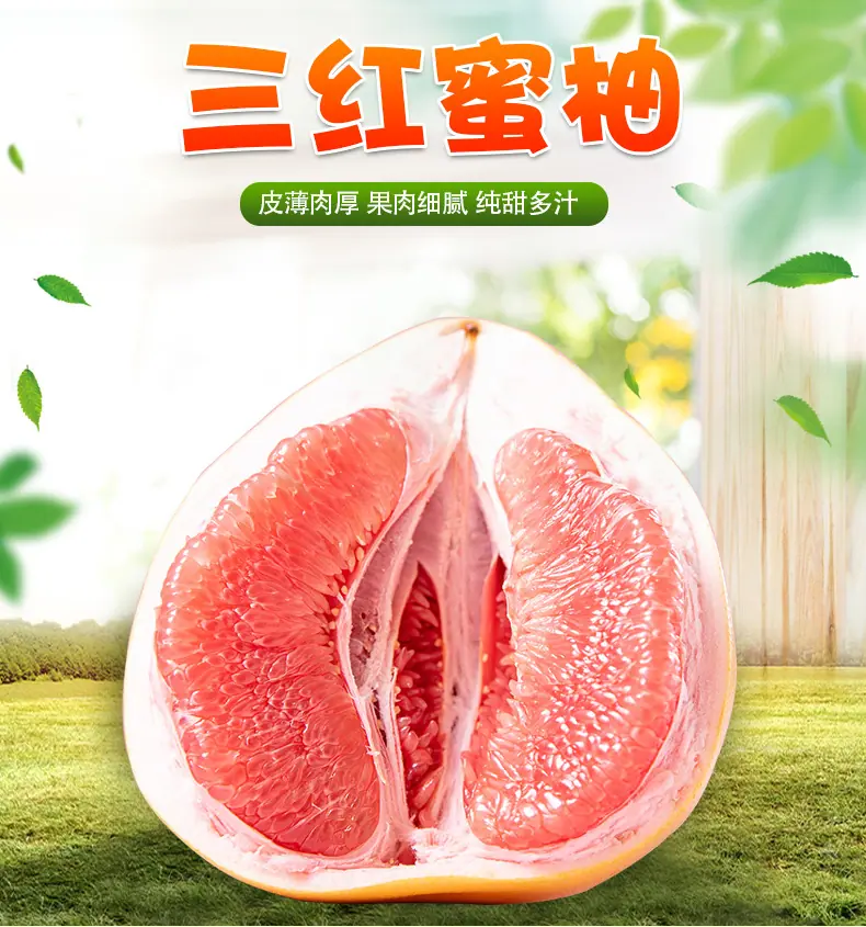 【严选】福建三红蜜柚 3/5斤代发酸甜多汁三红柚应季送礼新鲜水果详情图1
