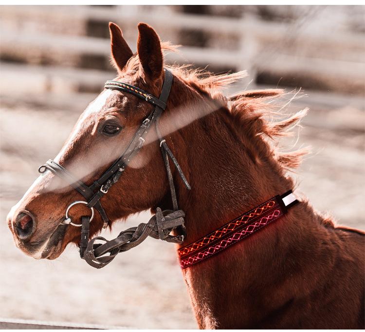 K4002-LED绳绣马脖 (11).jpg?x-oss-process=image/format,png