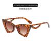 Gafas de sol de ojo de gato triangulares transfronterizas nuevas 2022 Gafas de sol de moda para mujer estilo ins europeo y americano con patilla hueca de ola