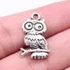 22x15mm 1.5g Multicor DIY Liga de Zinco Acessórios Venda Quente Pingente de Coruja