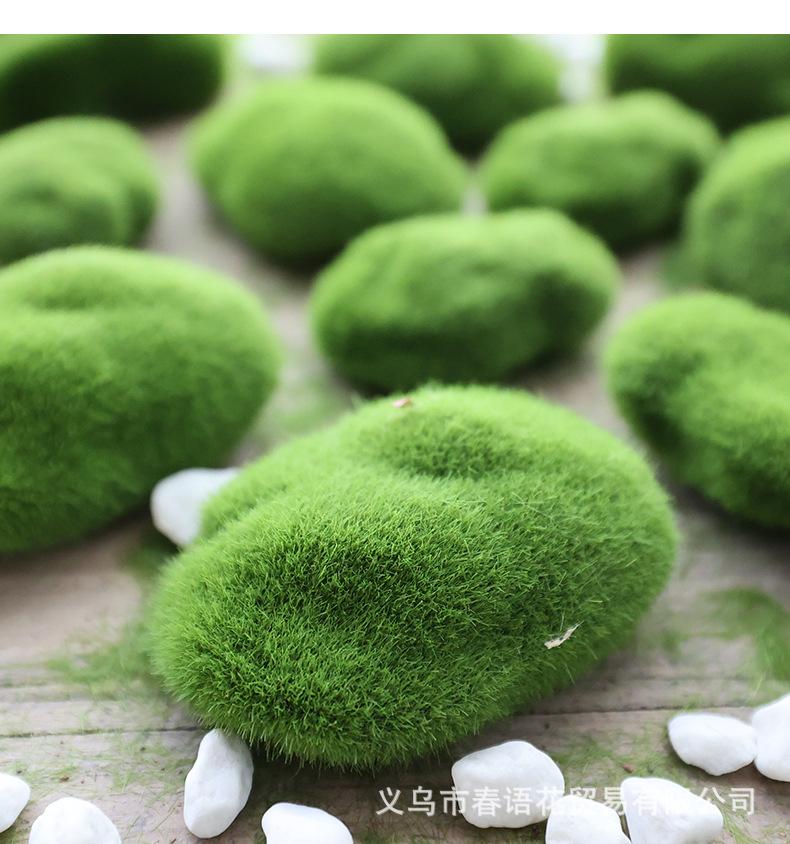 青丝草皮苔藓_09.jpg