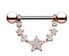 1 producto transfronterizo más vendido diamante estrella de cinco puntas hoja clavo para pezón anillo de joyería popular europeo y americano para perforaciones