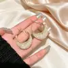Pendientes de plata S925 con malla de circonita Super Flash, exquisitos, con aguja, para mujer, modernos, ligeros, de lujo, de nicho, con diseño avanzado.