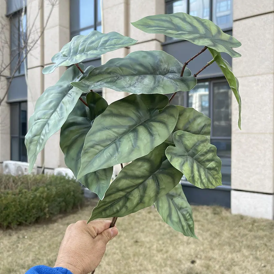3叉11头加密绿植-深绿芋叶.JPG