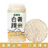 Arroz de Cevada das Terras Altas Planalto Qinghai-Tibete Sementes Oeste Cevada Azul das Terras Altas Grãos Cevada Branca das Terras Altas Multigrãos Cevada Preta das Terras Altas Grãos de Trigo Mingau Multigrãos