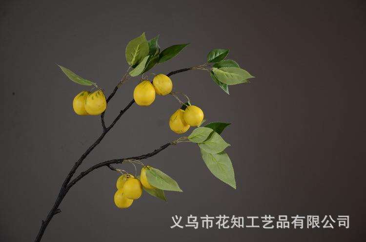 2-5黄色欧罗梨子.JPG
