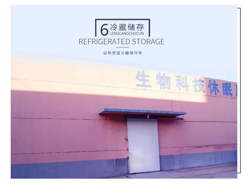 水晶玫瑰_09.jpg