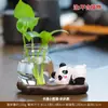 Decoração de Casa Estilo Chinês Panda Rabanete Verde Vaso Hidropônico Arranjo de Flores Vidraria Decoração de Mesa Vaso de Planta Presente