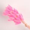 Capim Rabo de Coelho Seco, Capim Rabo de Cachorro, Flores Secas Flor Eterna, Materiais DIY, Acessórios para Arranjos Florais, Buquês Atacado, Venda Quente Transfronteiriça