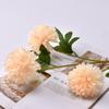 Serie de color champán, material de flores de simulación para salón de bodas, decoración del hogar, rosa, flor falsa, arreglo floral, flores de plástico al por mayor