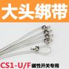 Interruptor magnético de indução de cilindro CS1-J/F/U/CMSH/CMSG/DMSJ sensor de proximidade D-M9BV/A93