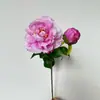 Flor Artificial de Alta Calidad Peonía Peonía Flor Falsa Decoración de Sala de Estar Mesa de Comedor Flor Mueble de TV Mesa de Café Adornos Florales de Flores
