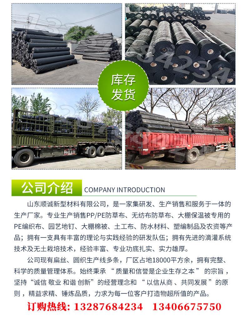白色防草布_09