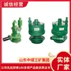 Las Bombas Sumergibles Neumáticas Serie Fqw para Minería Son Fáciles de Operar. Detalles de Ventas de Bombas Sumergibles Neumáticas para Minería Serie Fqw